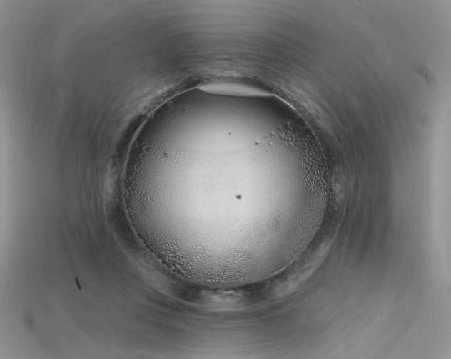 X0000115730359200911121517