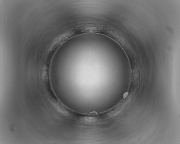 X0000115730361200911121517