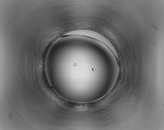 X0000115730362200911121517