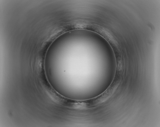 X0000115730363200911121517