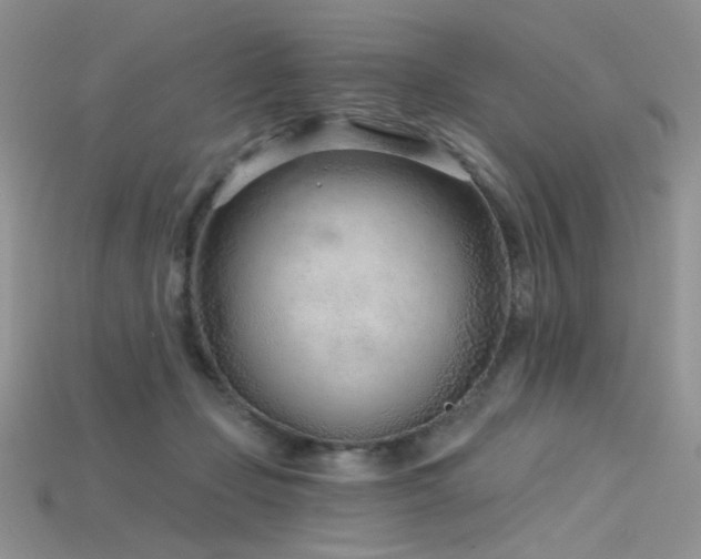 X0000115730365200911121517