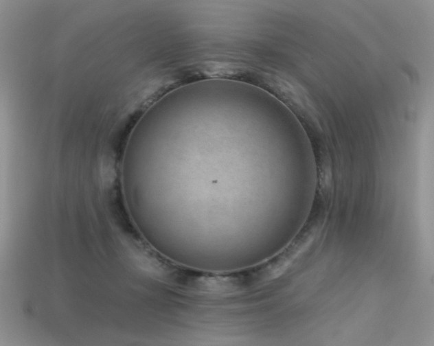 X0000115730367200911121517