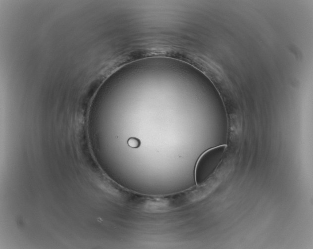 X0000115730369200911121517