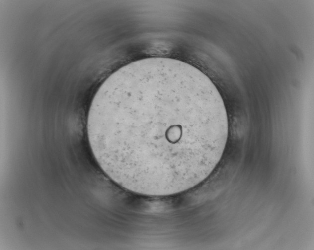 X0000115730370200911121517