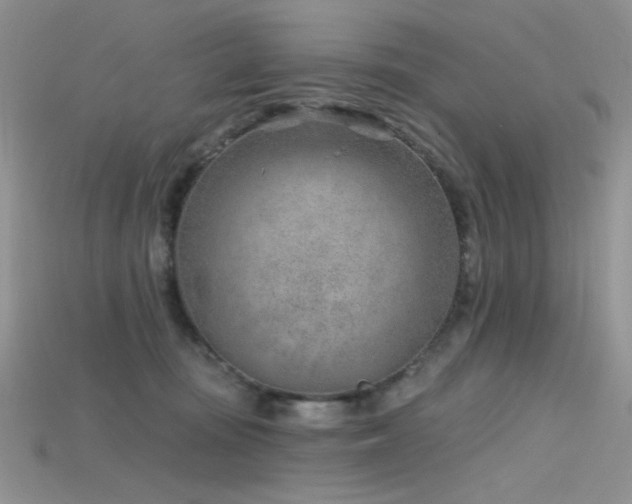 X0000115730371200911121517