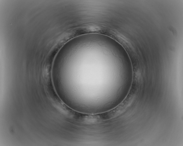 X0000115730373200911121517