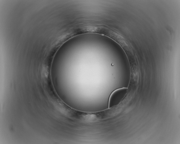 X0000115730374200911121517