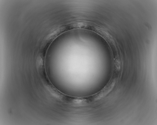 X0000115730375200911121517