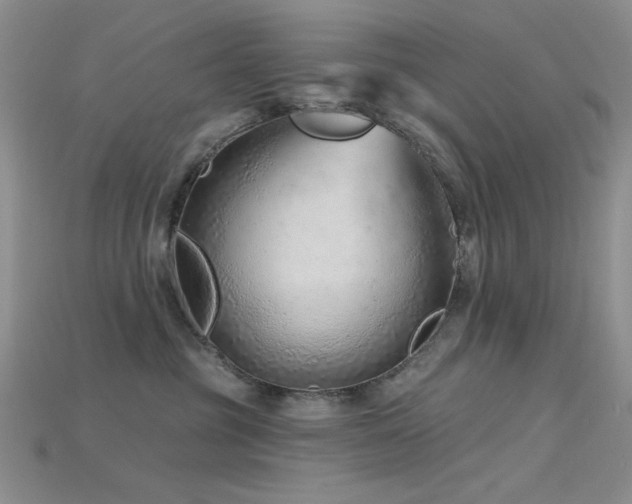 X0000115730381200911121517