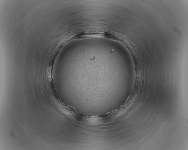 X0000115730383200911121517