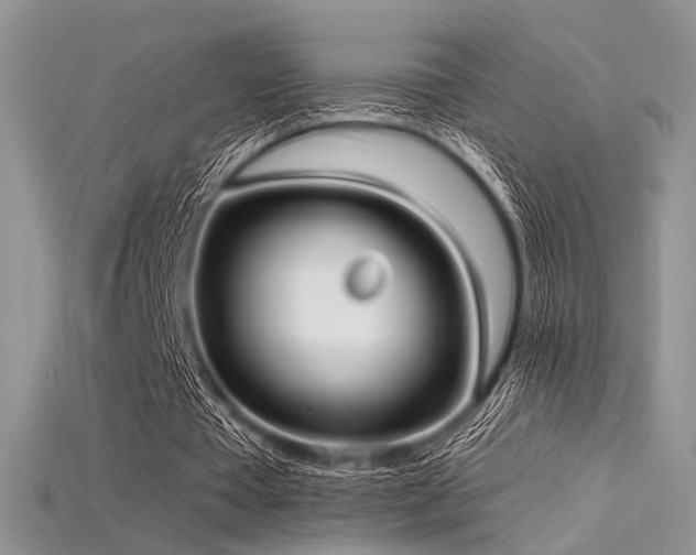 X0000115730385200911121516