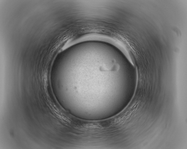 X0000115730386200911121516