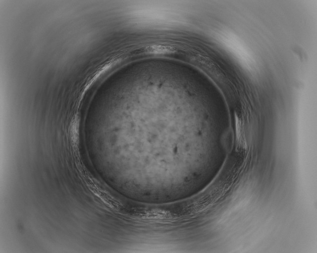 X0000115730387200911121516