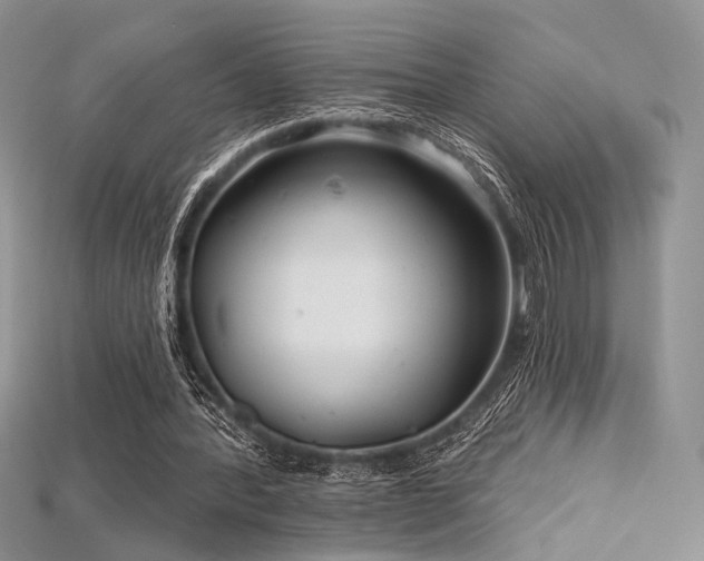 X0000115730388200911121516