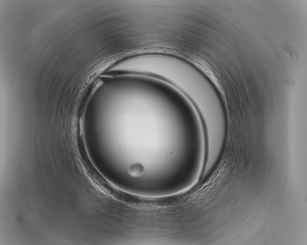 X0000115730389200911121516