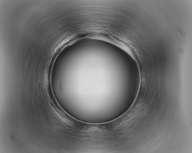 X0000115730390200911121516