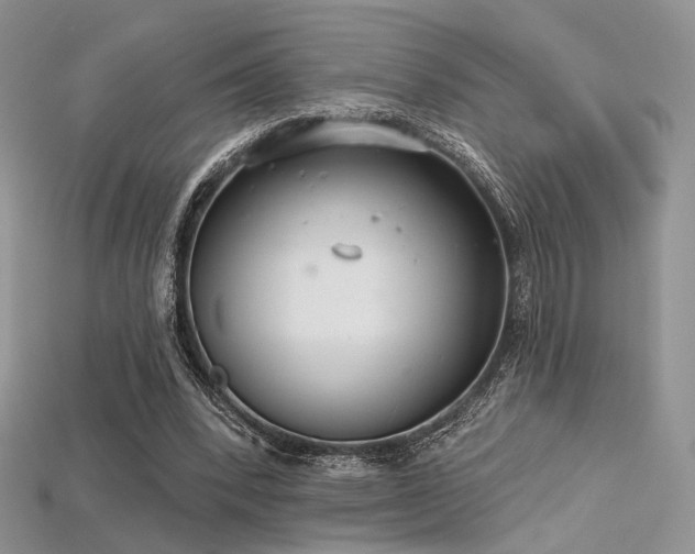 X0000115730392200911121516