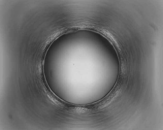 X0000115730393200911121516