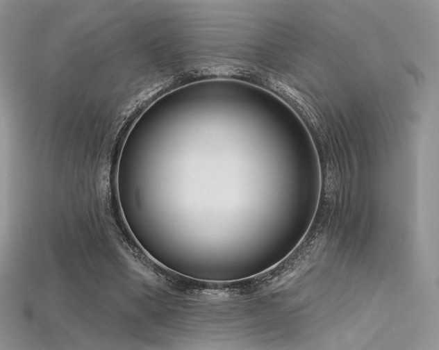 X0000115730394200911121516