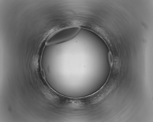 X0000115730395200911121516