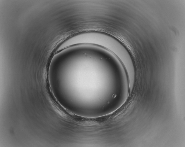 X0000115730397200911121516