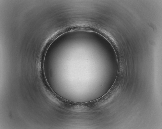 X0000115730399200911121516