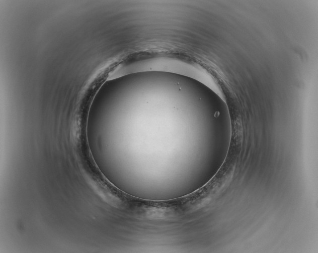 X0000115730400200911121516