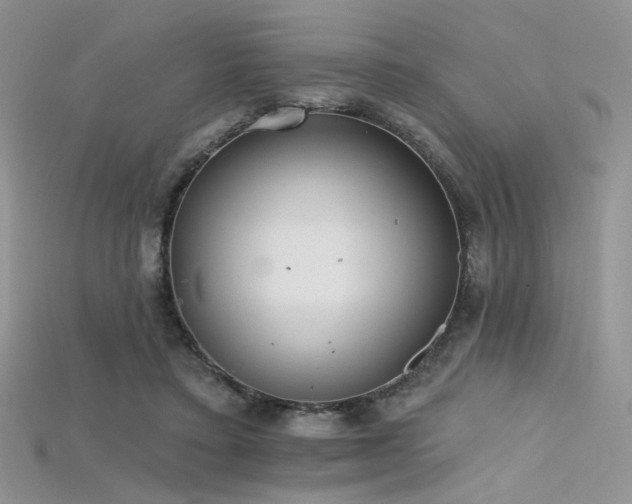 X0000115730403200911121516