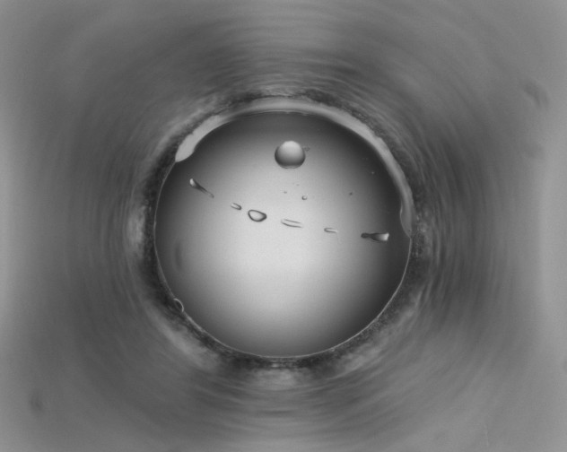 X0000115730404200911121516