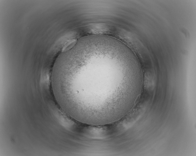 X0000115730405200911121516