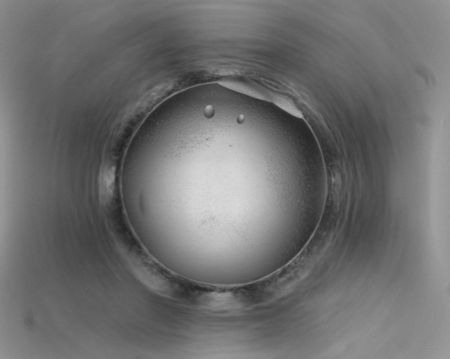 X0000115730406200911121516