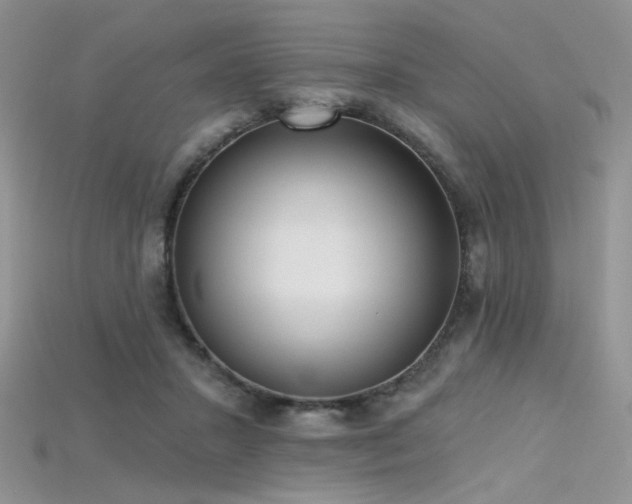 X0000115730407200911121516