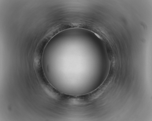 X0000115730408200911121516