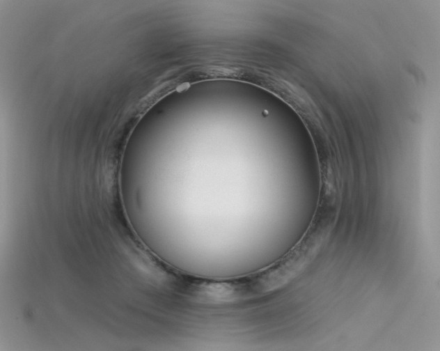 X0000115730409200911121516