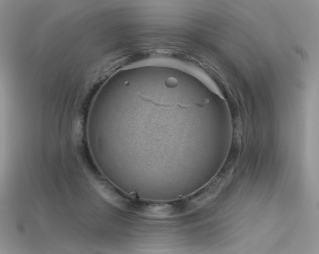 X0000115730410200911121516