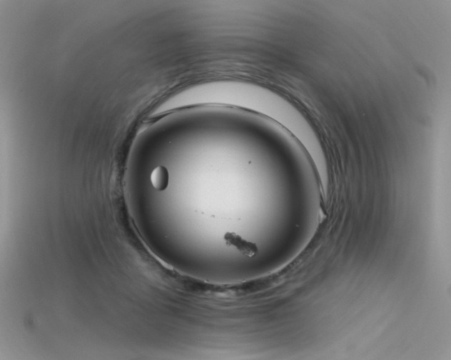 X0000115730411200911121516