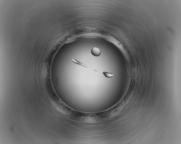 X0000115730412200911121516