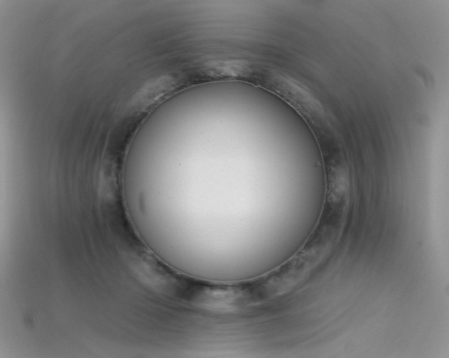 X0000115730414200911121516