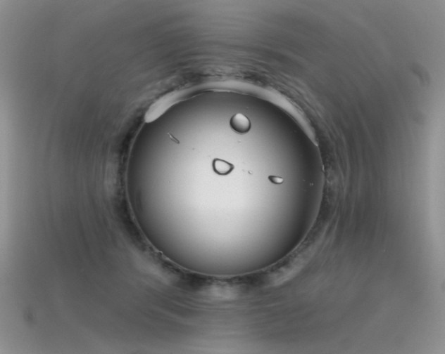 X0000115730416200911121516