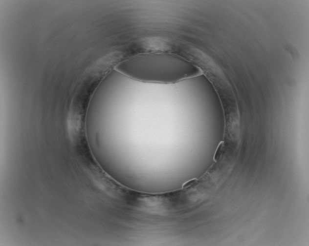 X0000115730417200911121516