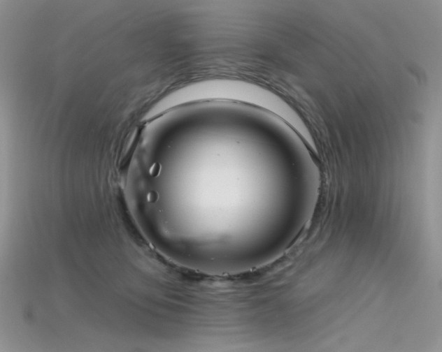 X0000115730419200911121516