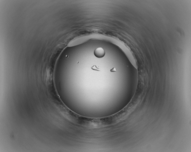 X0000115730420200911121516