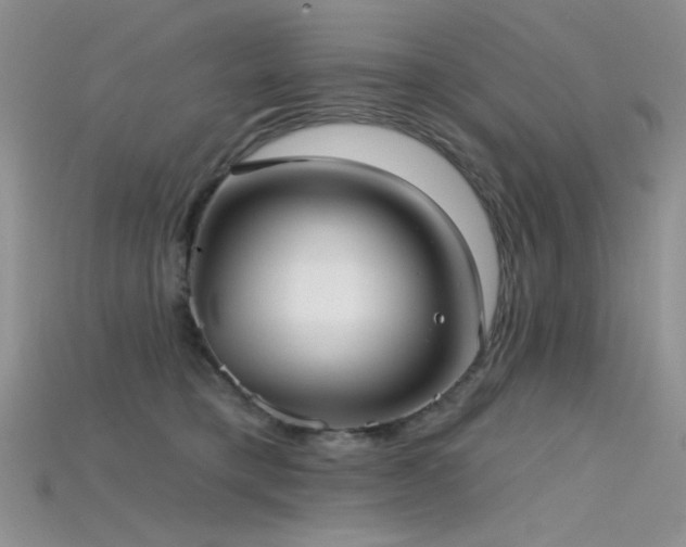 X0000115730421200911121516