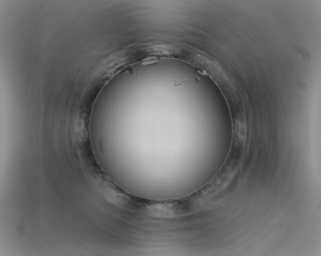 X0000115730422200911121516