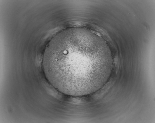 X0000115730423200911121516