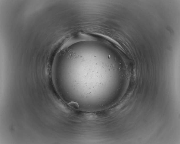 X0000115730424200911121516