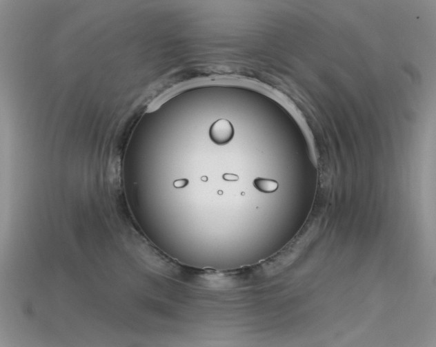 X0000115730425200911121516