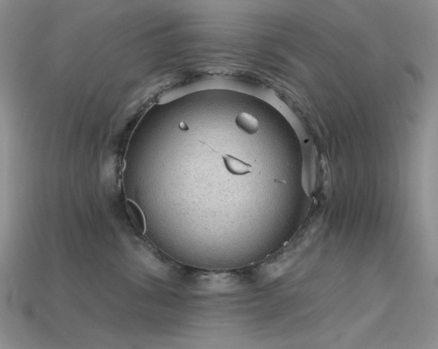 X0000115730428200911121516