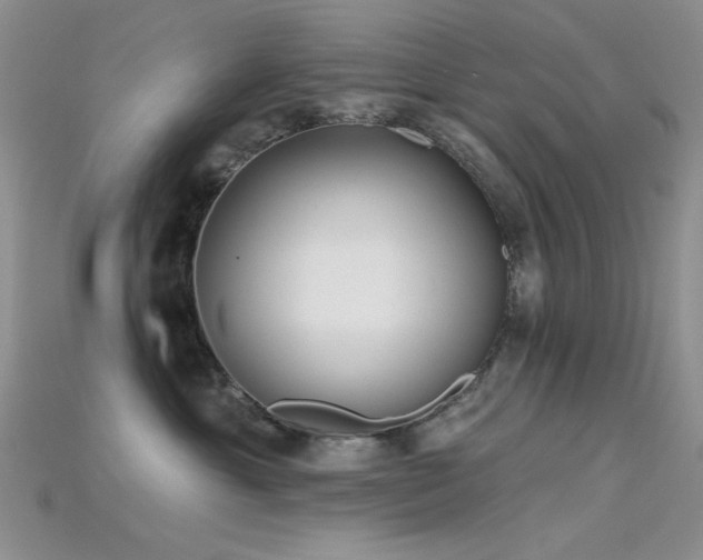 X0000115730429200911121515