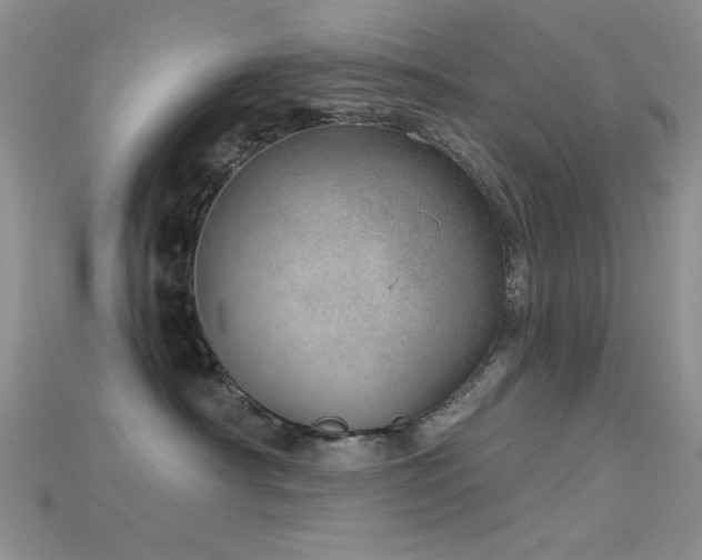 X0000115730430200911121515